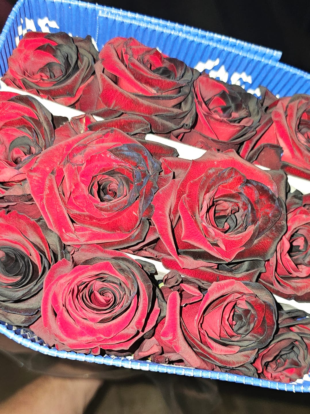 Customer photo review of Black and Red Tinted Roses