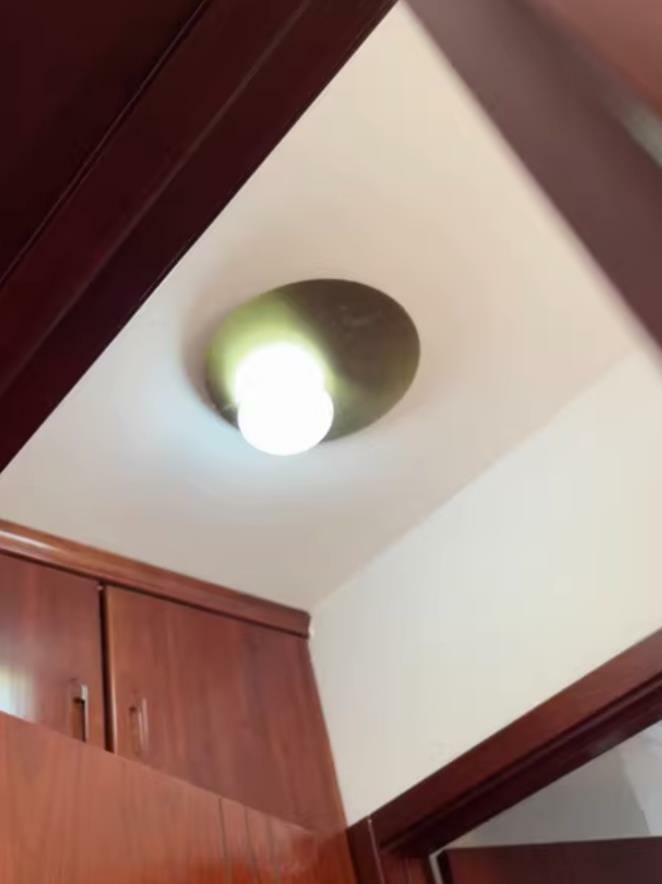 Customer photo review of Milk Glass Ceiling Light with Globe Shade, Metal Disc, 36 or 48 cm