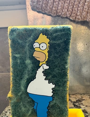 Customer photo review of Homer Sponge Holder