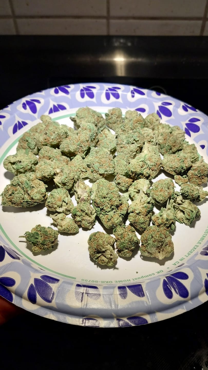 Customer photo review of Gorilla Glue THCA Flower