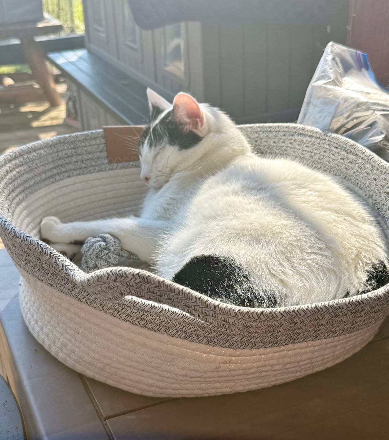 Customer photo review of Instinct Basket | Meet the first research-backed natural scratcher for indoor cats