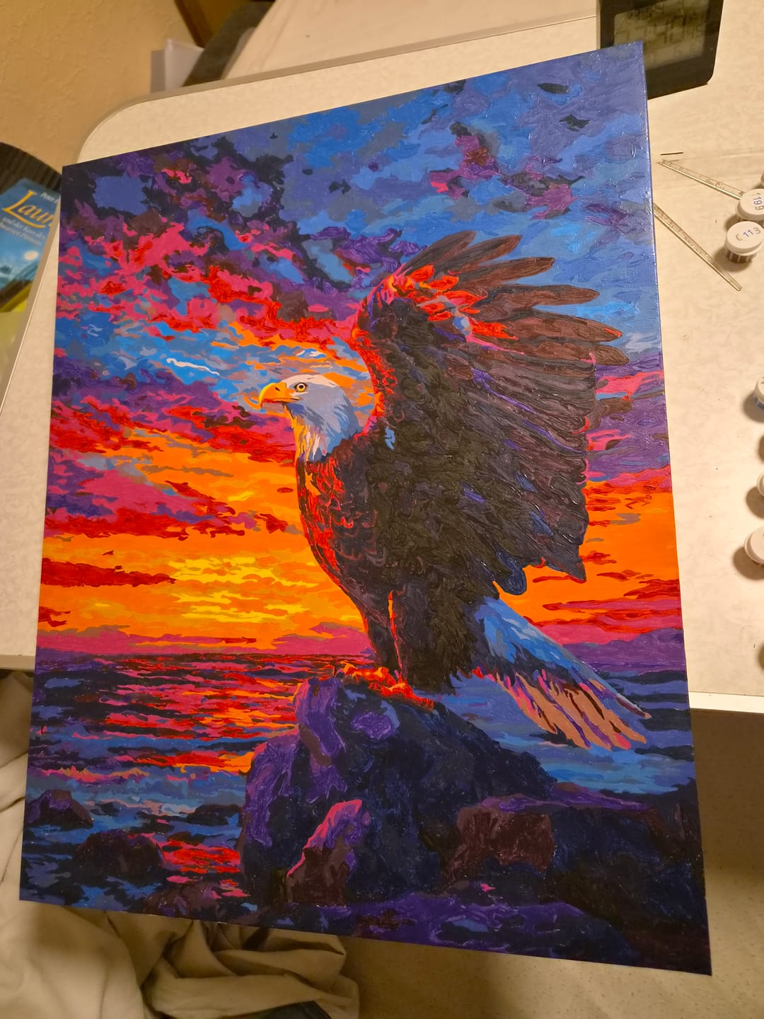 Customer photo review of Malen nach Zahlen - Majestätischer Adler
