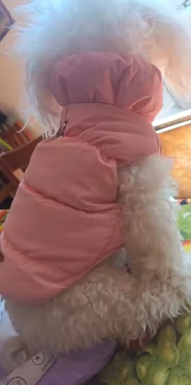 Customer photo review of Waterproof Puffer for Dogs