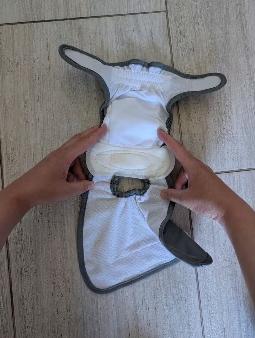 Customer photo review of Mumaby™ Washable Dog Diaper