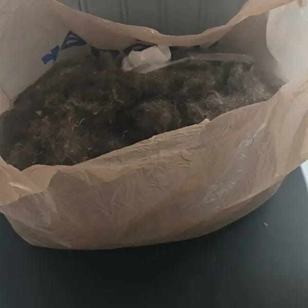 Customer photo review of Magic Lint Cleaner