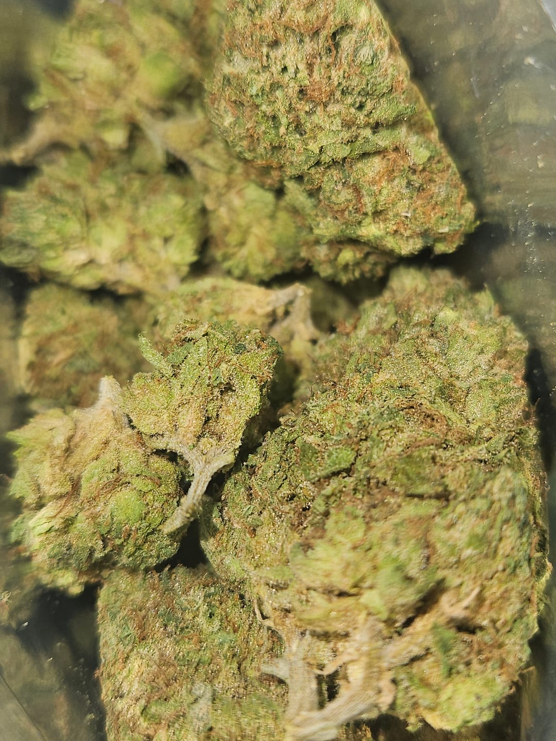 Customer photo review of Blue Gelato THCA Flower