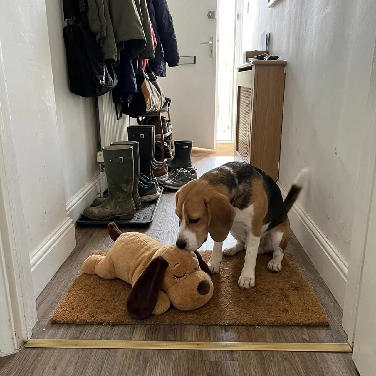 Customer photo review of Heartbeat Pup – Your Dog's Bedtime Buddy