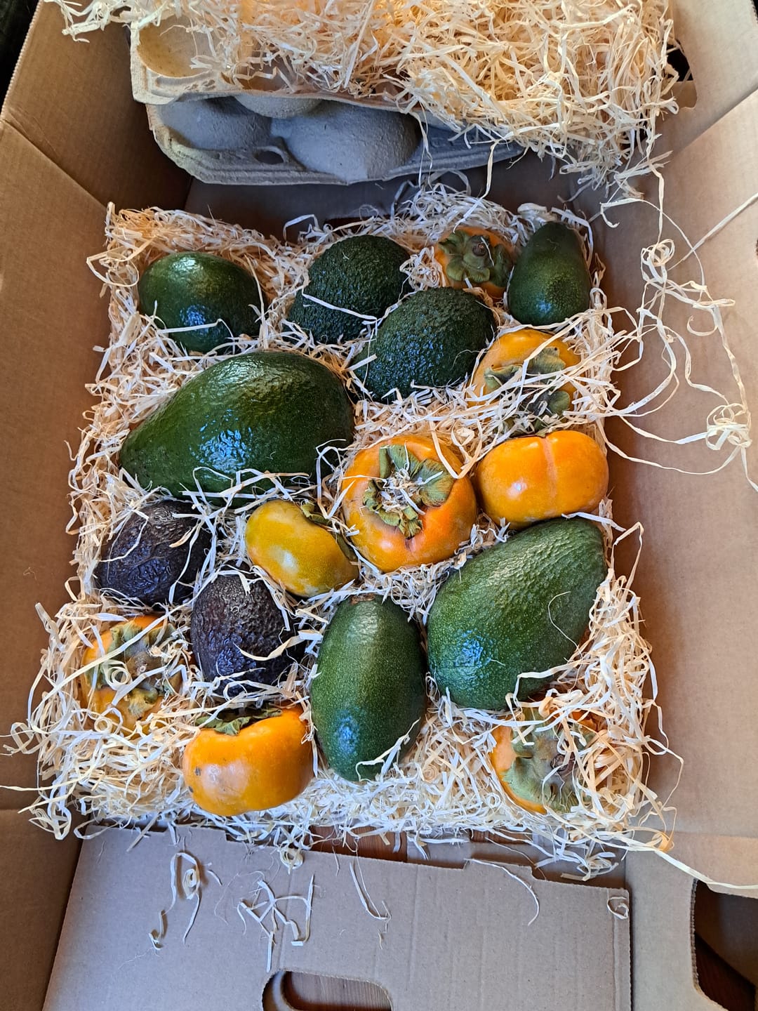 Customer photo review of Kaki "Fuyu" (Apfel-Kaki) von Julian
