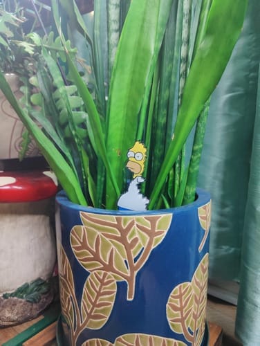 Customer photo review of Homer Plant Stake Sign