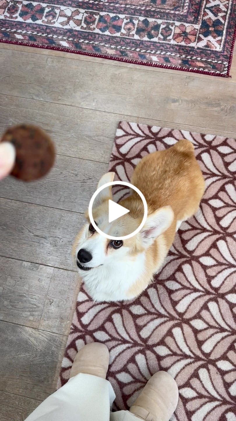Customer video review of Tony en Lu Pups | Kleine hondensnacks