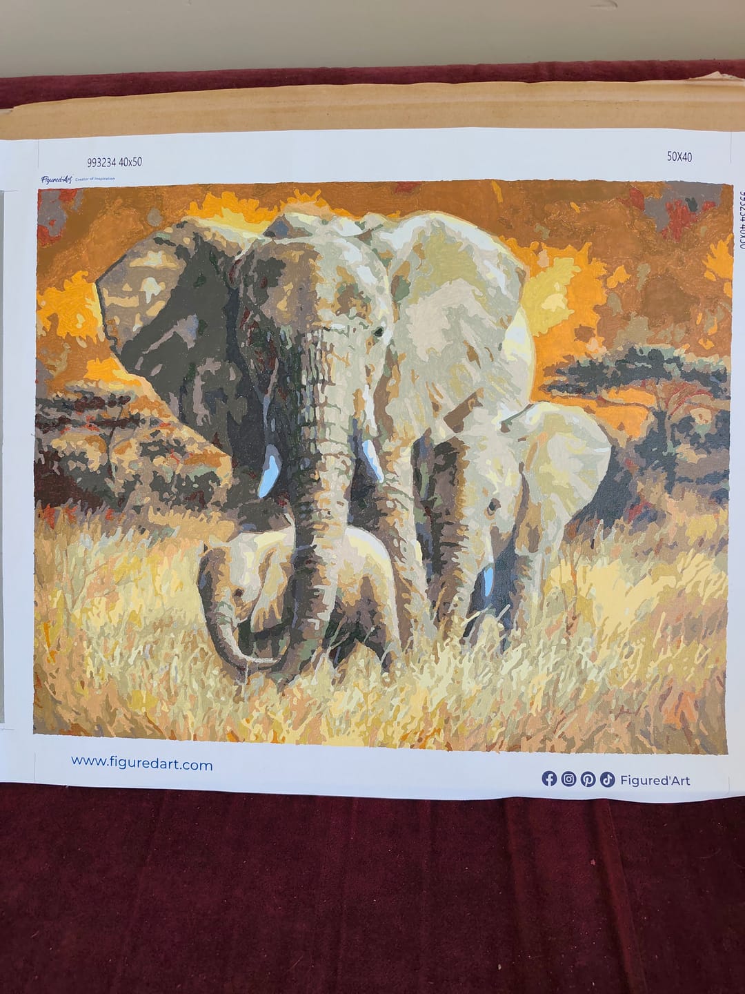 Customer photo review of La Famille Eléphants