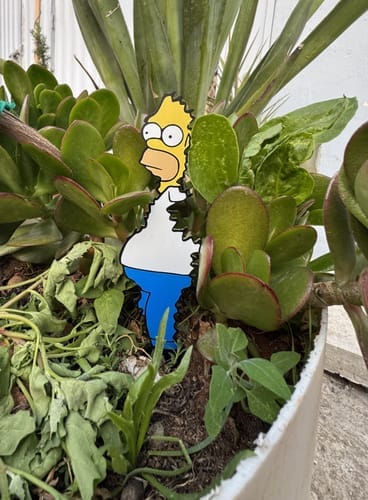 Customer photo review of Homer Plant Stake Sign
