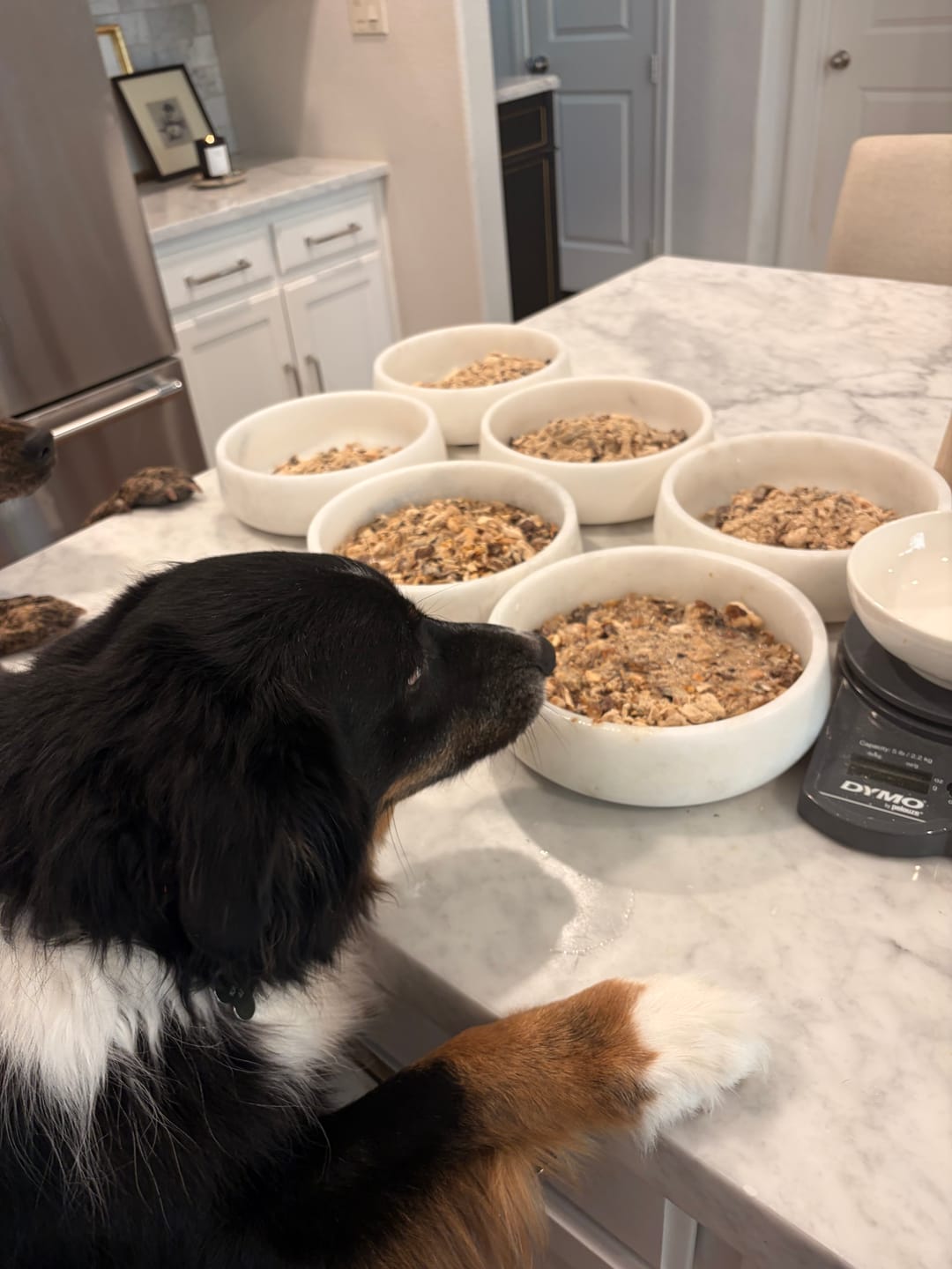 Customer photo review of Seven Membership — November Class