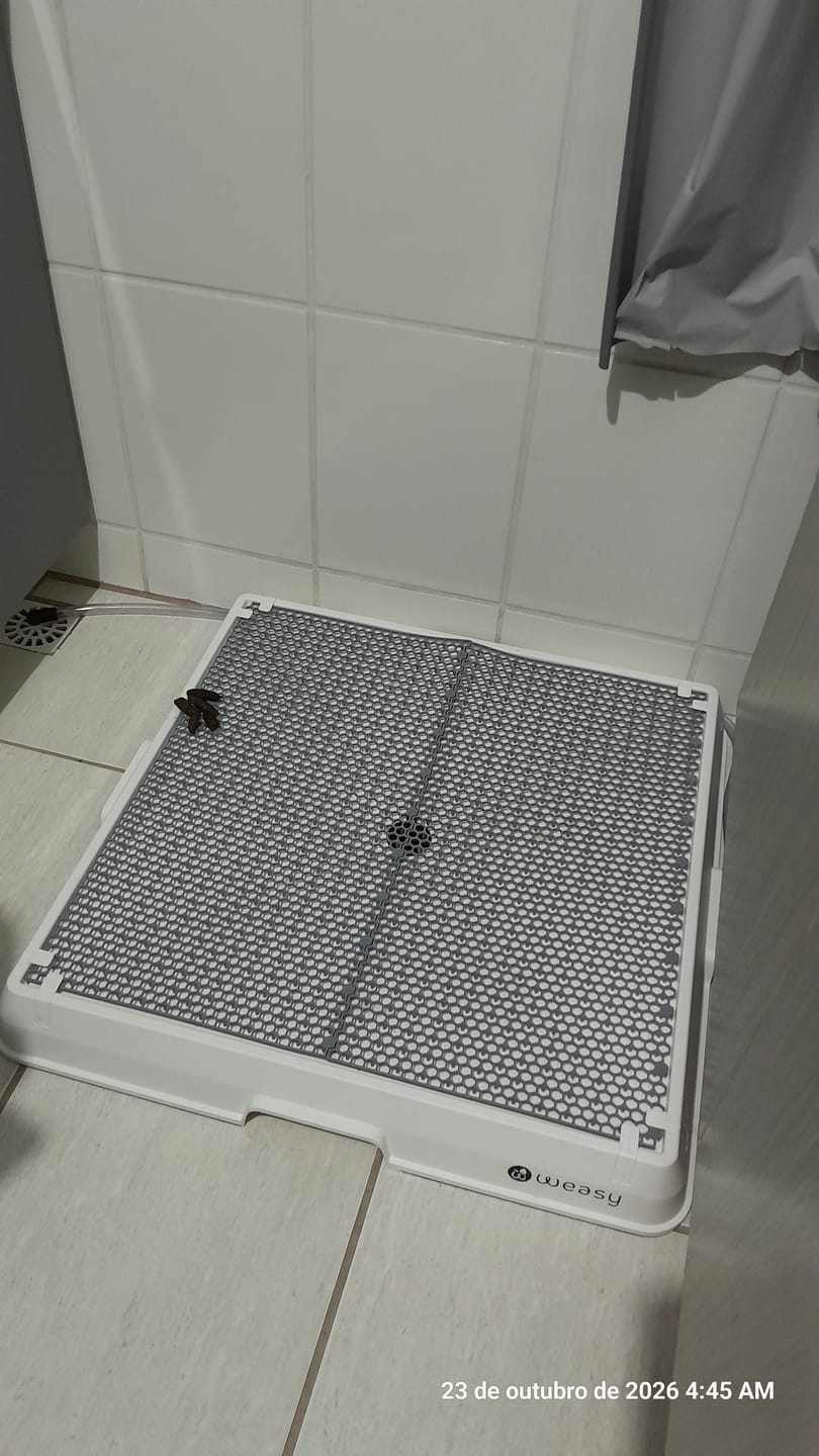 Customer photo review of Weasy Cão | Banheiro inteligente para cachorro