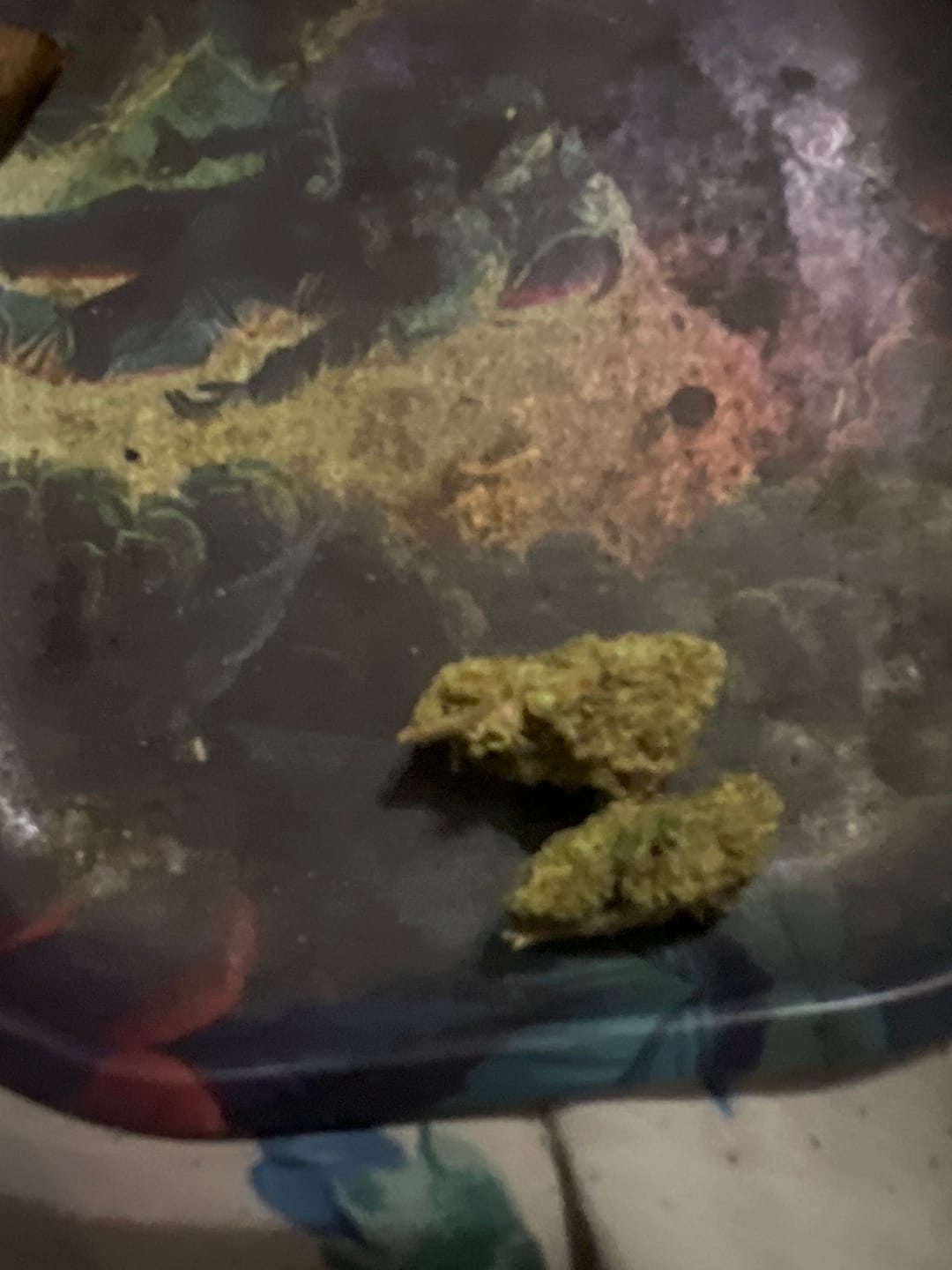 Customer photo review of Gorilla Glue THCA Flower