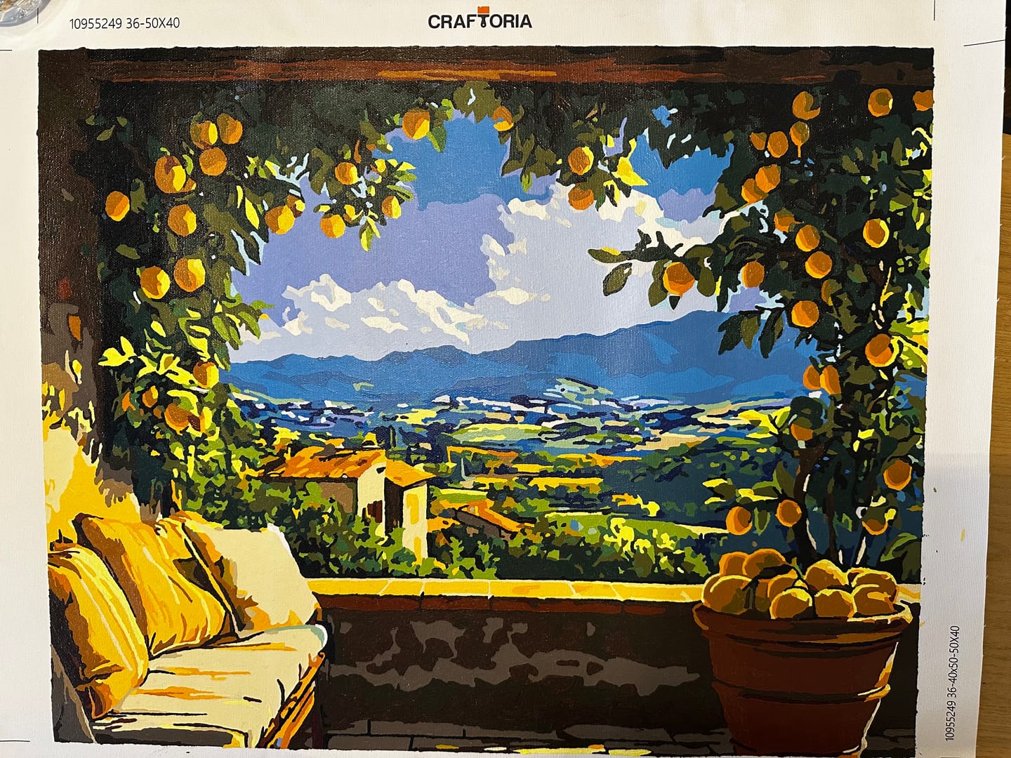 Customer photo review of Lemon Patio View