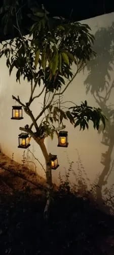 Customer photo review of Solar Lantern, Outdoor Garden Light with Handle, Black, IP65