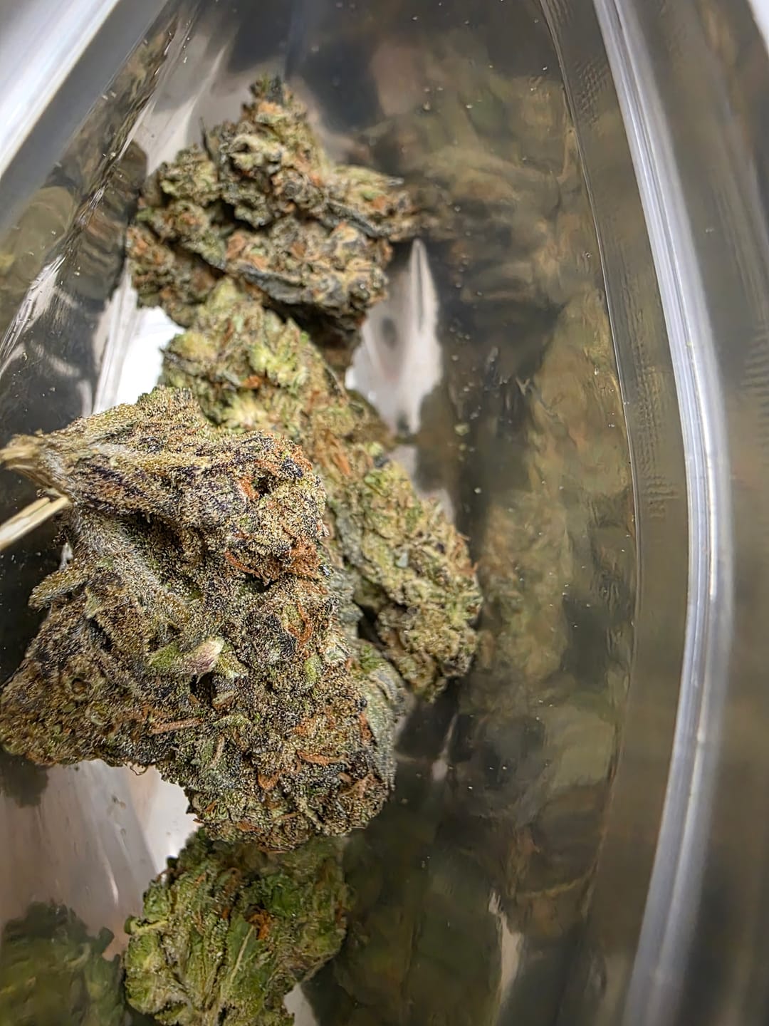 Customer photo review of THCA Queen