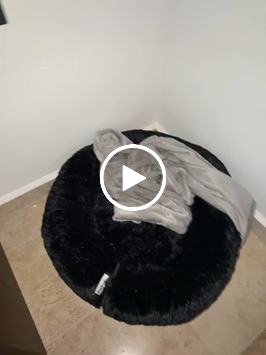 Customer video review of Manta Relajante para Mascotas