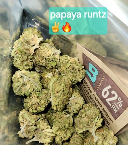 Customer photo review of Papaya Runtz THCA Flower