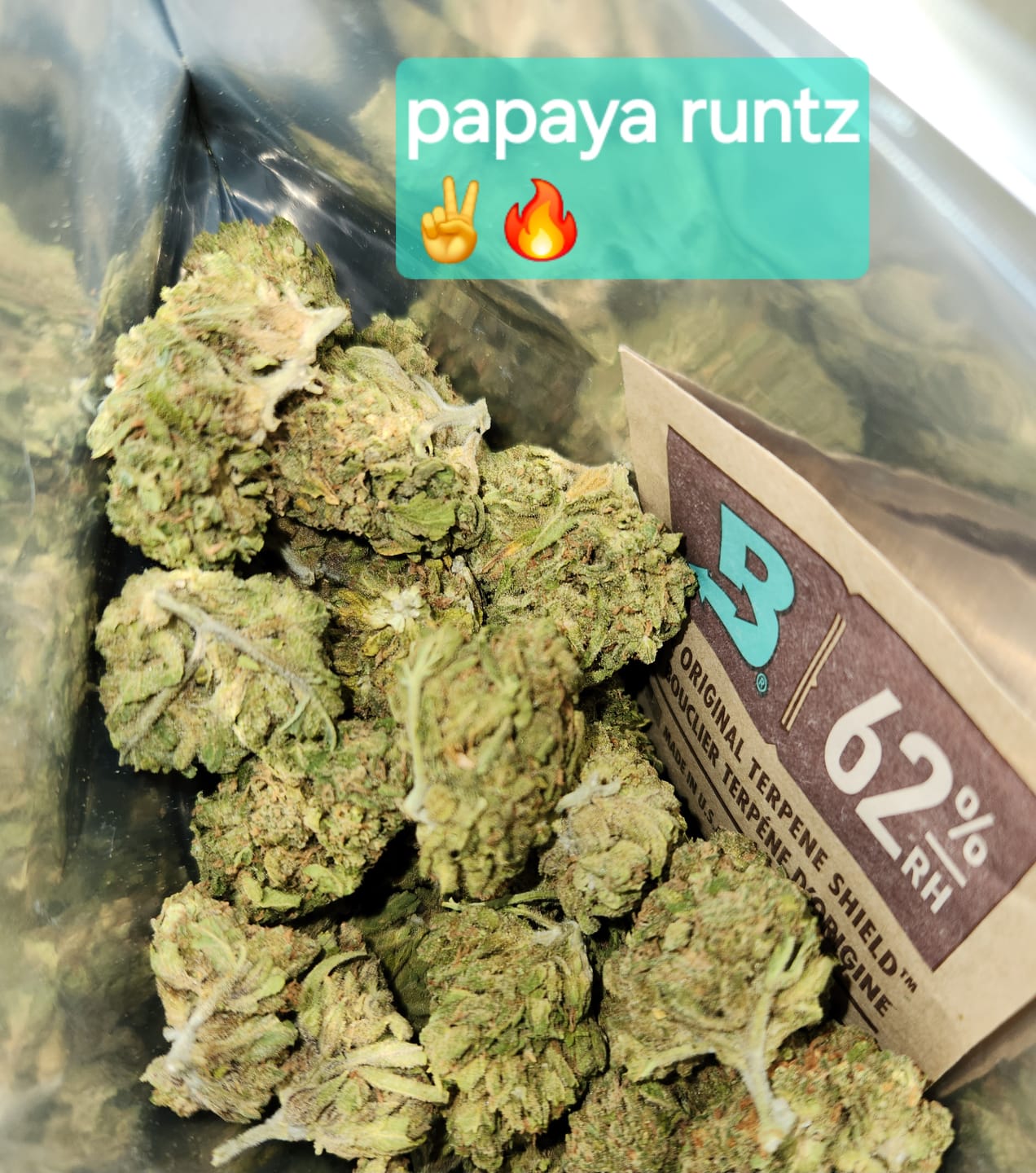 Customer photo review of Papaya Runtz THCA Flower