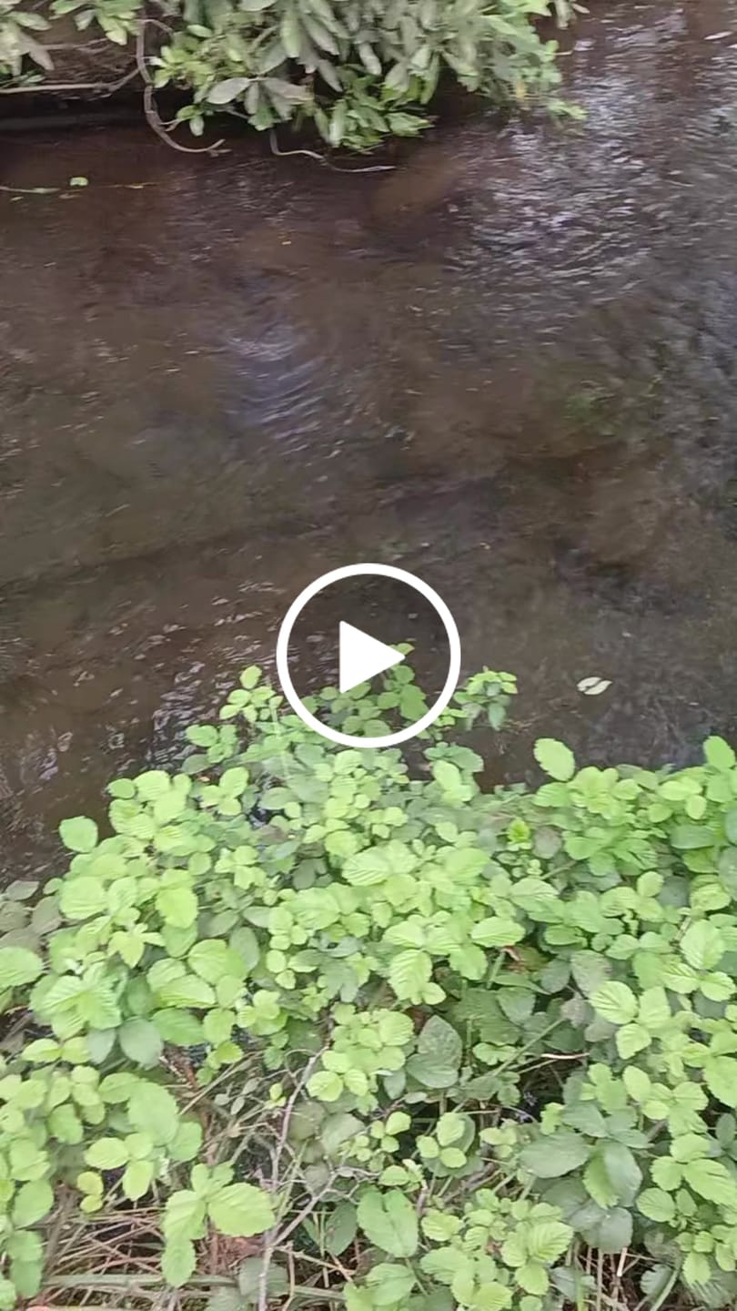Customer video review of New Serie Nomad Photochromic Polarized - YELCHO®