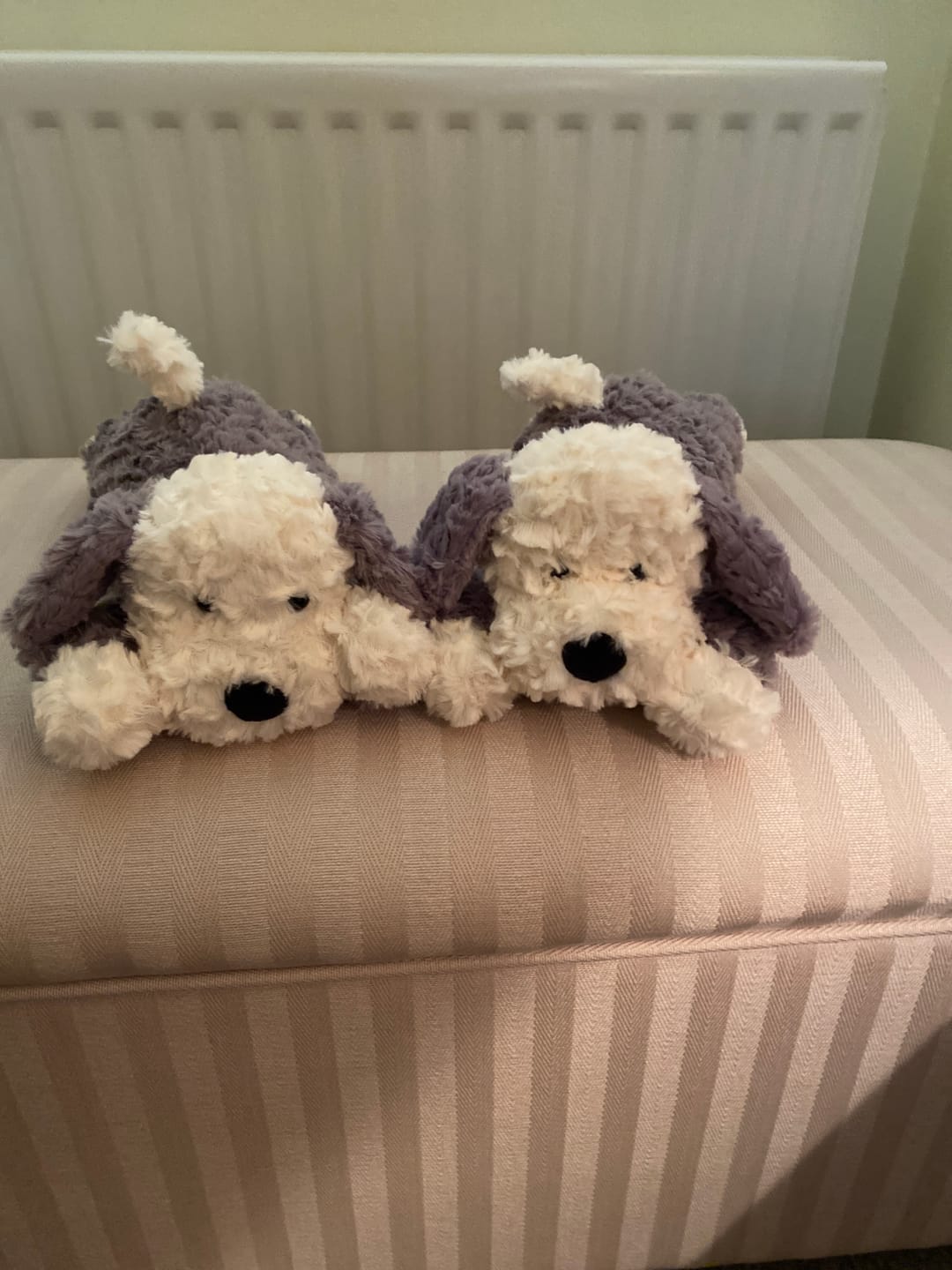 Customer photo review of Tumblie Sheep Dog