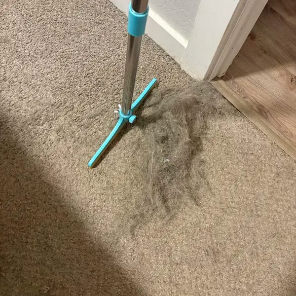 Customer photo review of Magic Lint Cleaner