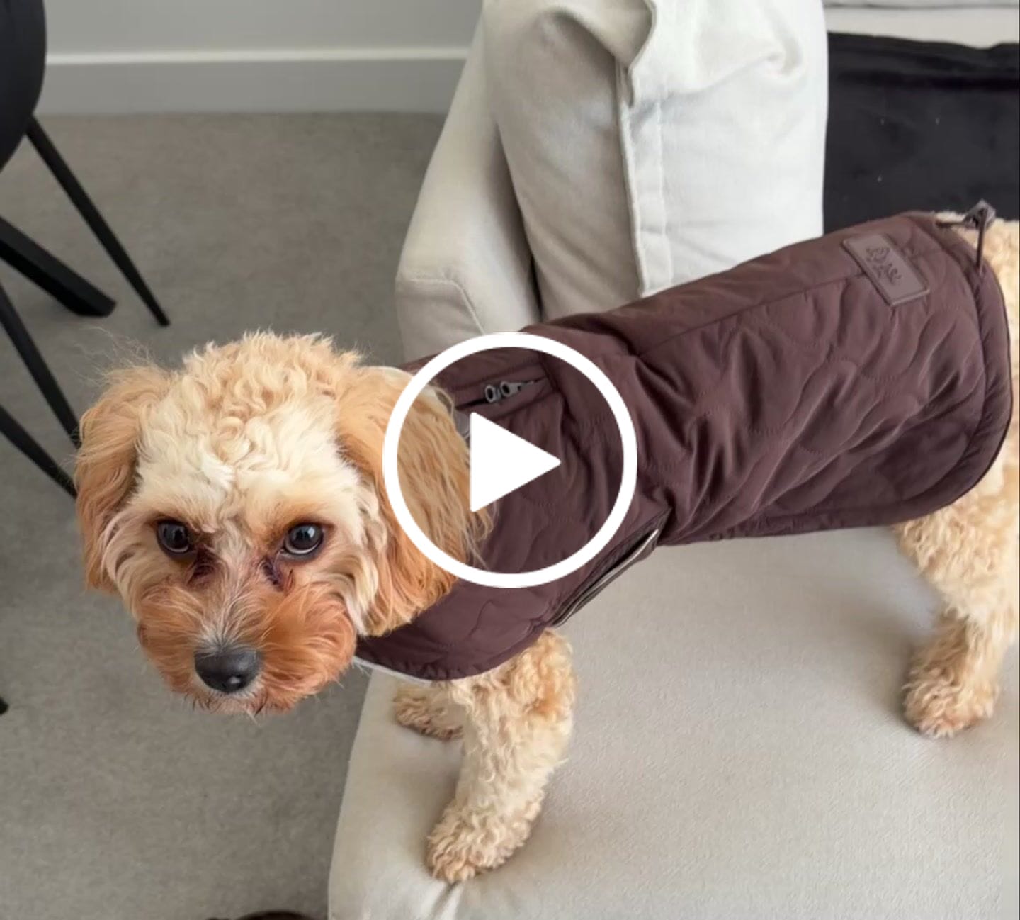 Customer video review of Chocolate | The Capsule Quilted Coat
