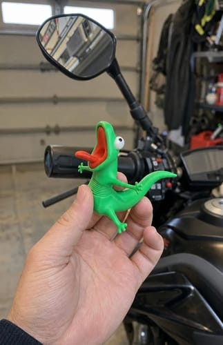 Customer photo review of MyRideBuddy™ – The Screaming Lizard
