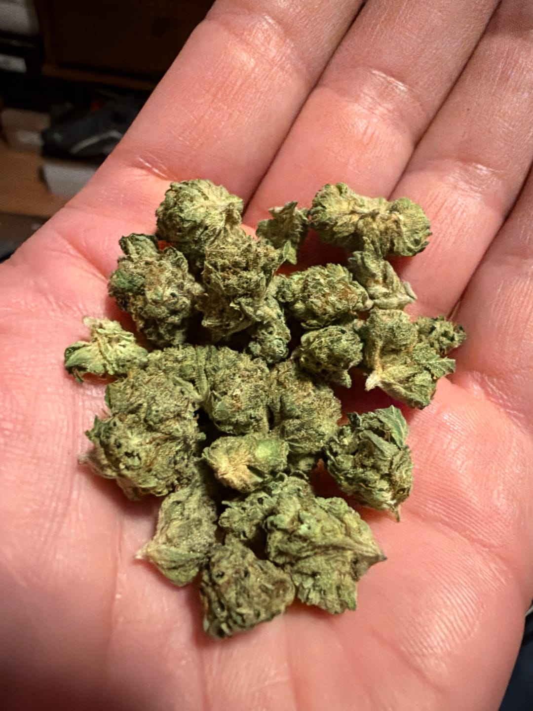 Customer photo review of Light Assist THCA Smalls