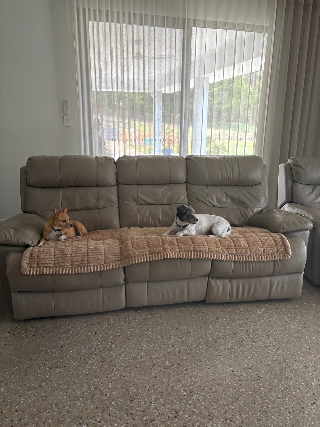 Customer photo review of Cosy Couch - Couch Cover