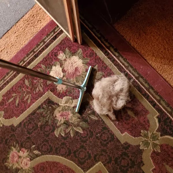 Customer photo review of Magic Lint Cleaner