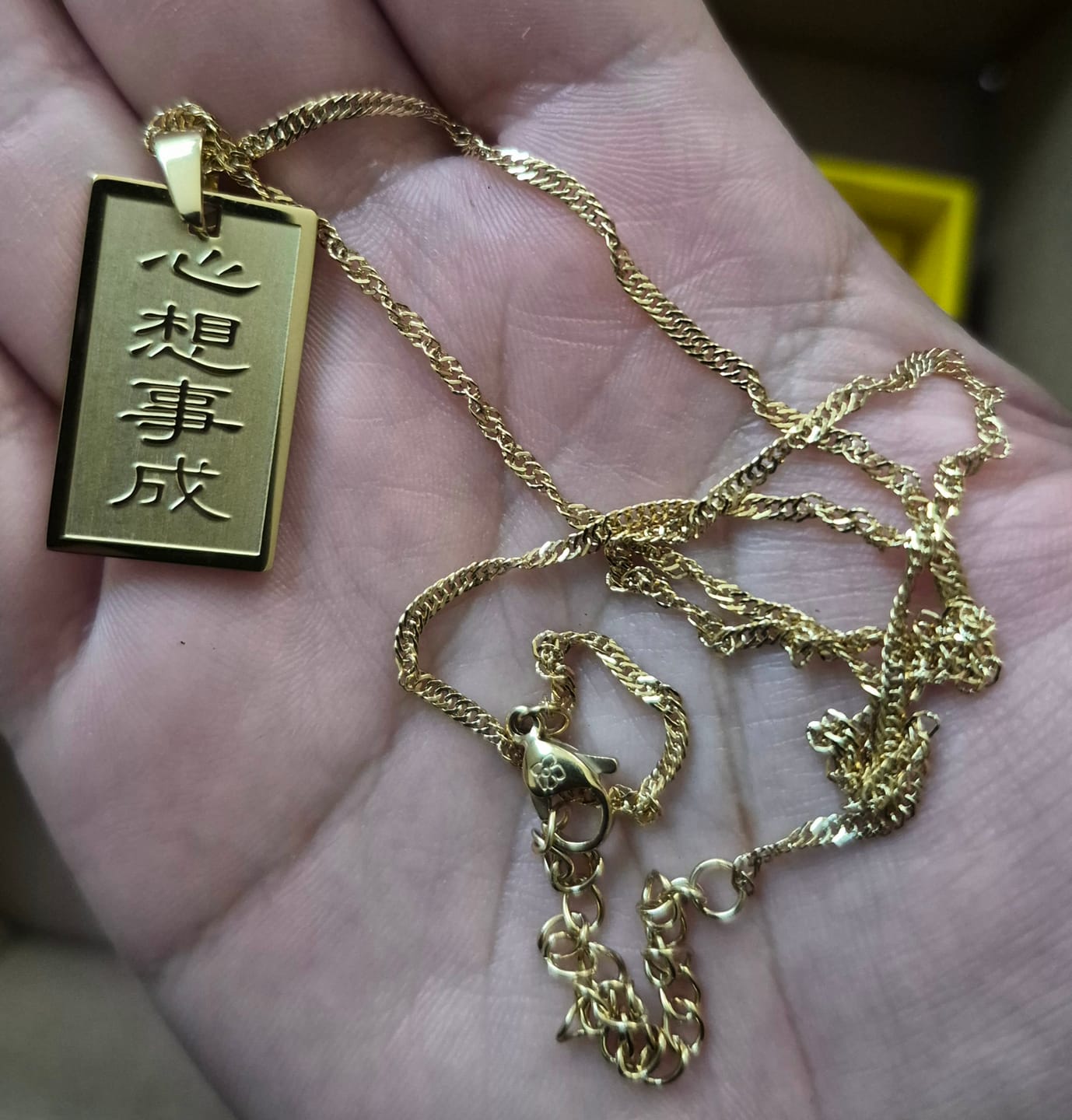 Customer photo review of Manifestation Good Luck Charm Necklace