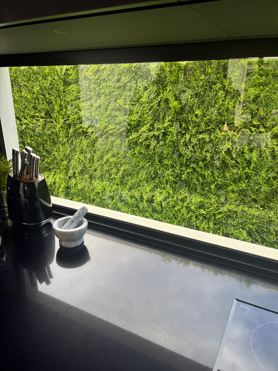 Customer photo review of Mediterranean Fern Vertical Garden / Green Wall UV Resistant 1m x 1m