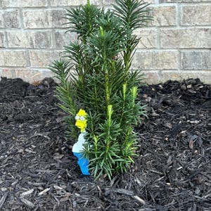 Customer photo review of Homer Plant Stake Sign