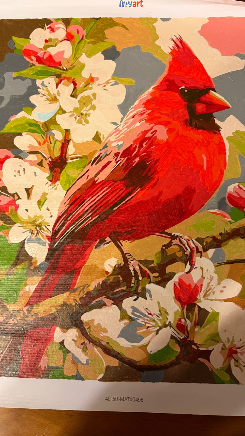 Customer photo review of Cherry Cardinal