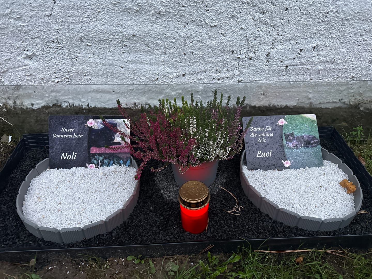 Customer photo review of Katzen Gedenktafel mit Foto & Spruch (UV- & Wetterfest)