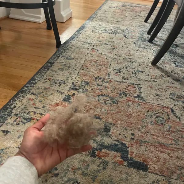 Customer photo review of Magic Lint Cleaner