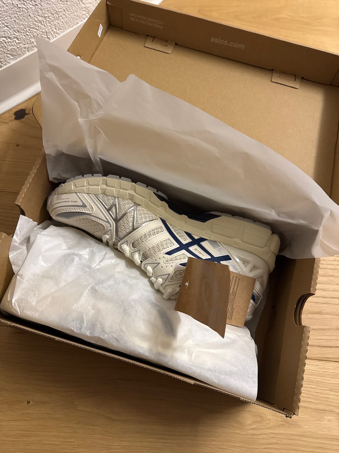 Customer photo review of GEL-KAYANO 20 - Cream