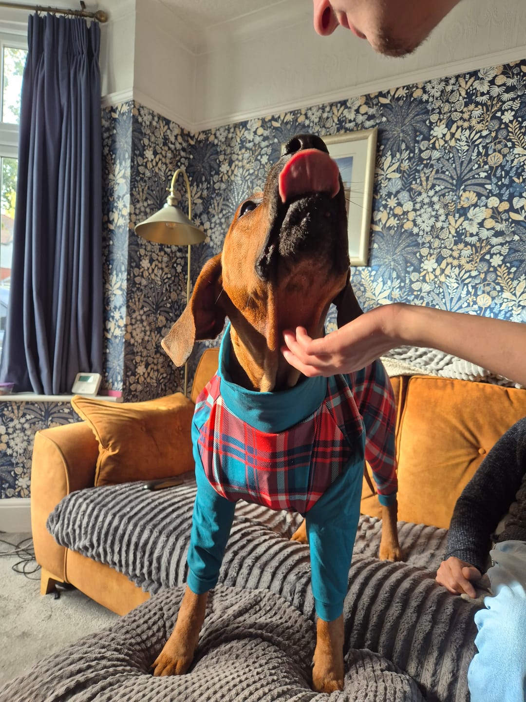 Customer photo review of Dog Pajama - Green and Red Plaid