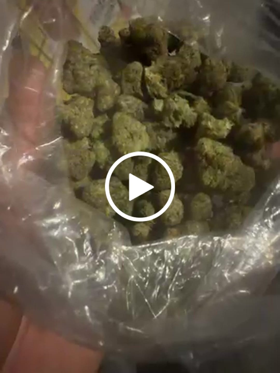 Customer video review of Blue Nerds (Indoor Smalls) – Bulk THCA Flower 1 lb