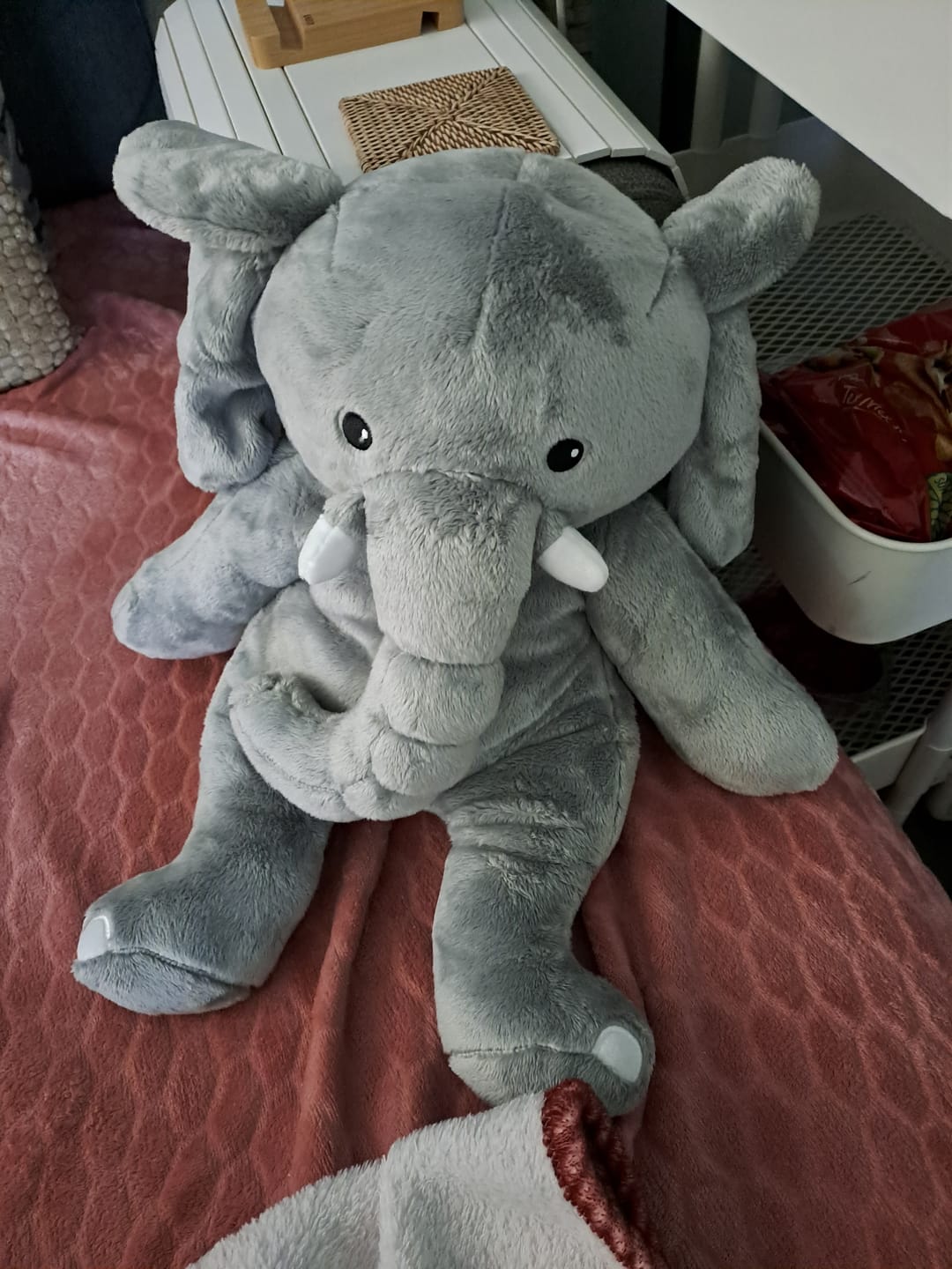 Customer photo review of Lotgenootje Olifant 2kg