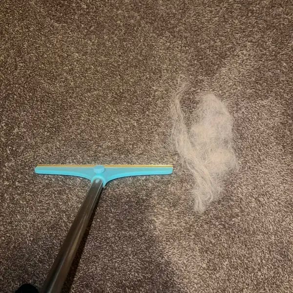 Customer photo review of Magic Lint Cleaner