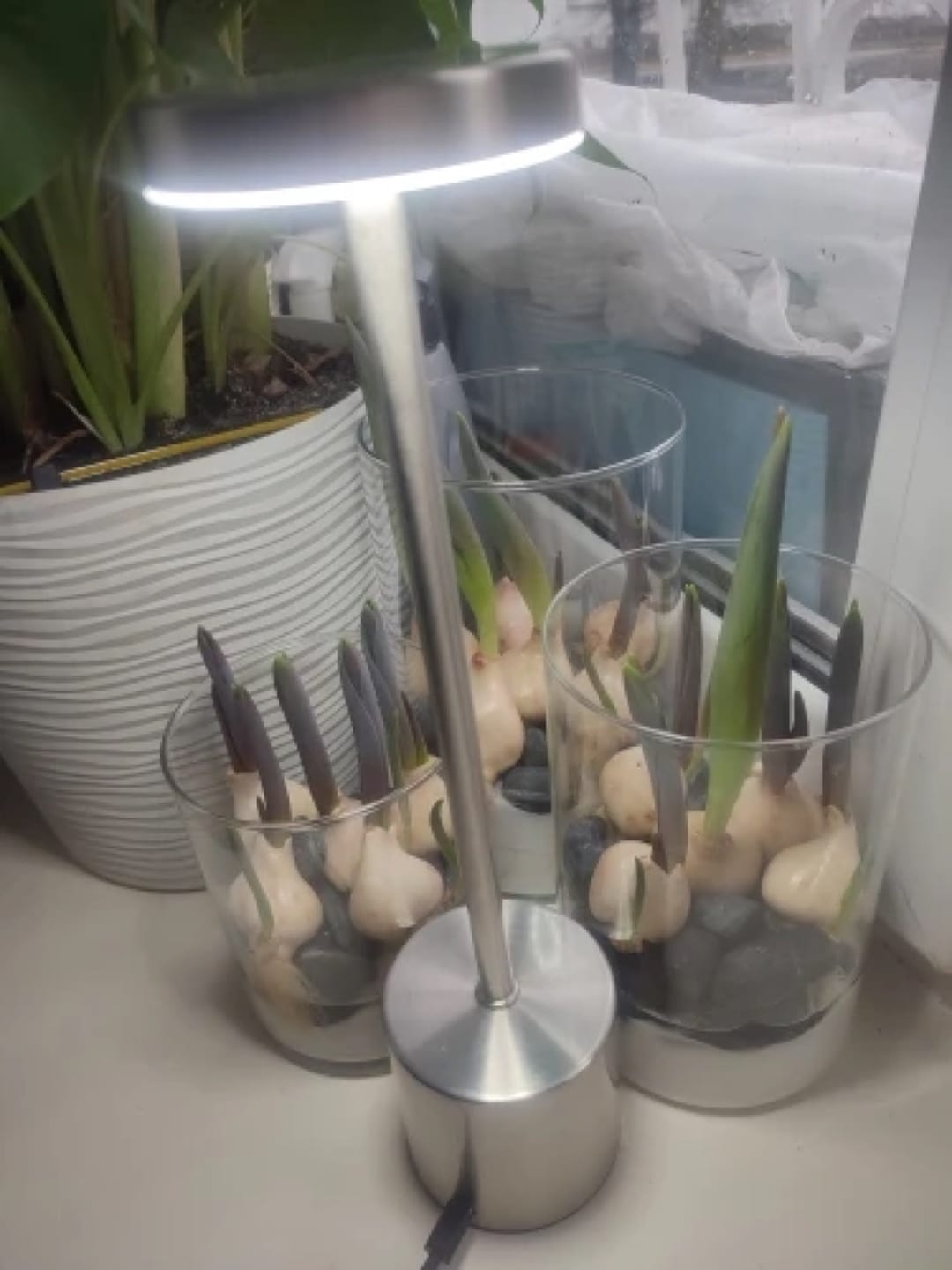 Customer photo review of Lampe à Poser Sans Fil LED Rechargeable, Lampe de Table Tactile Minimaliste à Intensité Variable pour Chevet, Salon et Salle à Manger - Ysaline