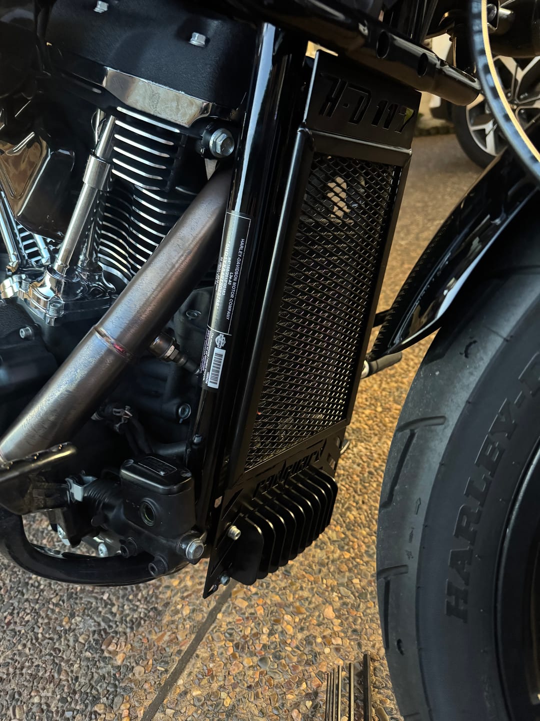 Customer photo review of Harley Davidson Low Rider ST 117 2025-2026 Rad Guard