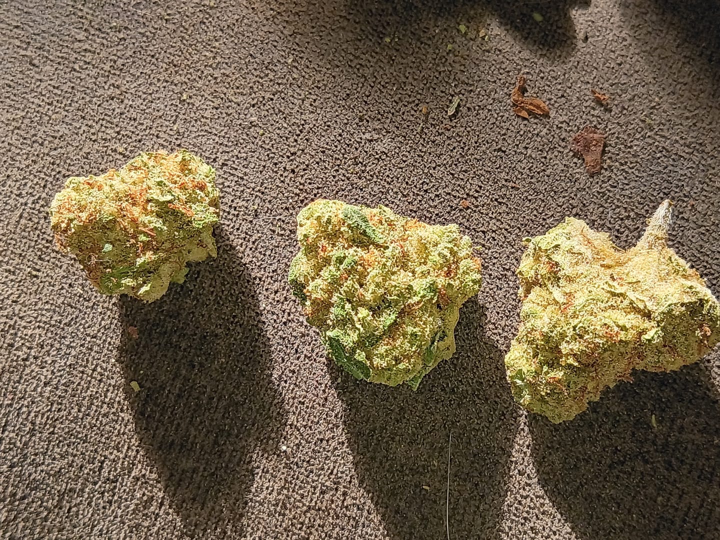 Customer photo review of Strawberry Cough THCA Flower