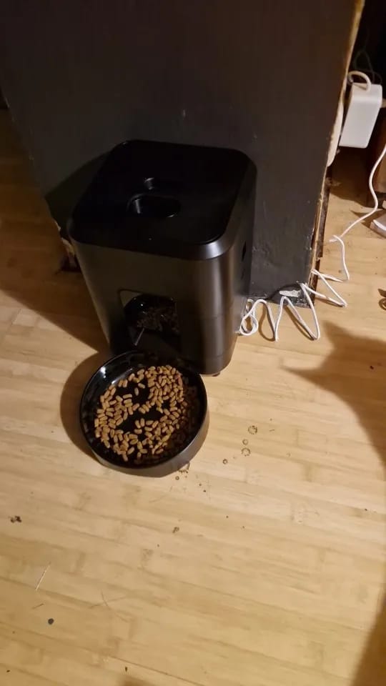 Customer photo review of Smart Pet Feeder Automatic Cat Feeder Dog Slow Food Machine With Timed Quantitative Automatic Cat Food Dispenser Cat Dog Bowl