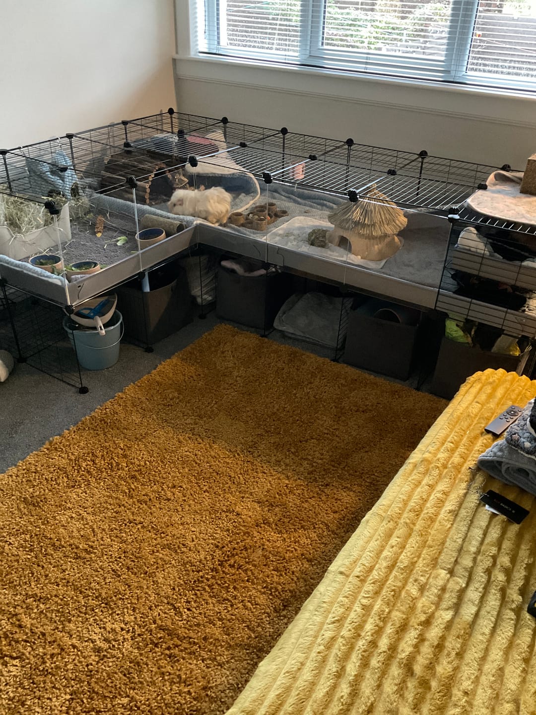 Customer photo review of The Kavee C&C Habitat - 6x2