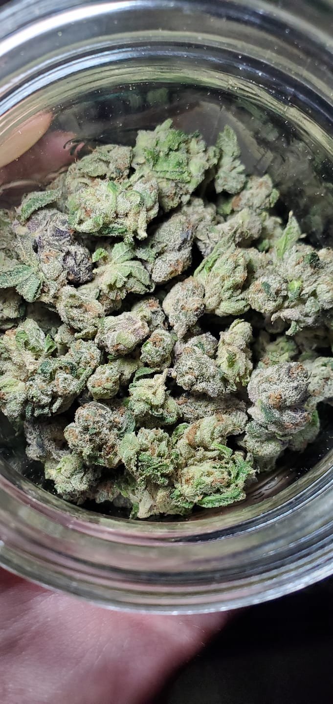 Customer photo review of Runtz THCA Flower (Budget)